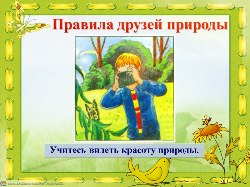 Учитесь видеть красоту природы. Правила друзей природы